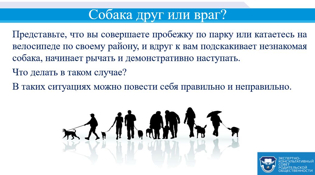 Собака друг или враг. Собака друг или враг. Собака для презентации. Надпись собака друг человека. Собака друг собака враг.